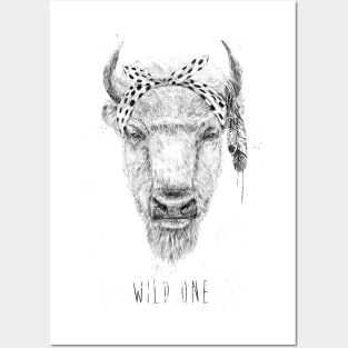 Wild one Posters and Art